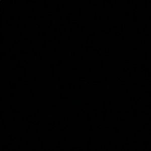 Meet your Posher, Hector